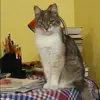 Отзыв от Эльвира Серова